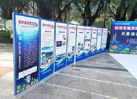 钟祥KT板的种类和知识。